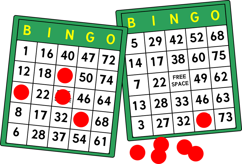 bingo casino